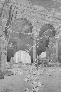 The Courtyard of the Pigeons Mosque, 1913