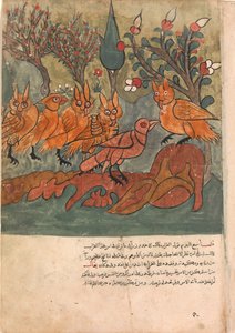 The Crow Spy Talks to the King of the Owls and His Ministers by Unbekannt