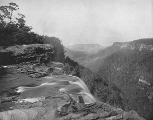The Fitzroy Falls, 19th Century by Unbekannt