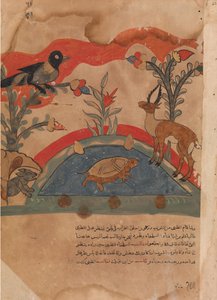 The Gazelle Becomes Friends with the Crow, the Mouse, and the Tortoise by Unbekannt