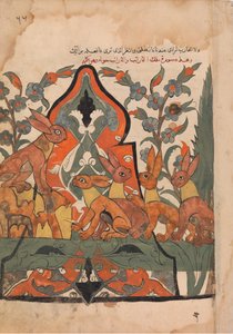 The King of the Hares in Counsel with his Subjects, Folio from a Kalila wa Dimna