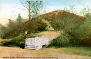The Lickey Hills