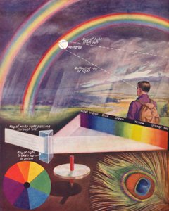 The Many Colours That Make Up White Light, 1935 by Unbekannt