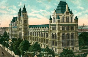 The National History Museum, London, c1910 by Unbekannt