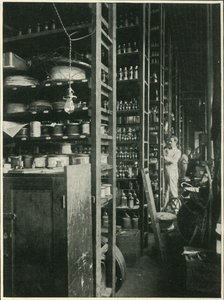 The Shelves of Edison