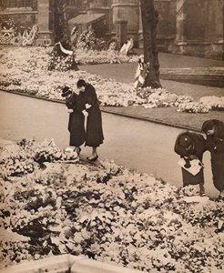 The State Funeral of King George V at Windsor: Memorial Wreaths