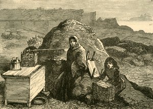 The State of Ireland: An Evicted Family Near Errismore