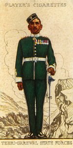 The Tehri-Garhwal State Forces