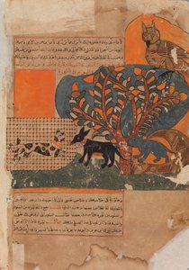 The Trapped Cat and the Frightened Mouse, Folio from a Kalila wa Dimna