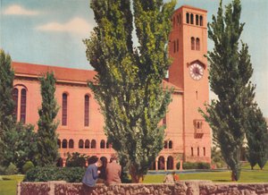 The University by Unbekannt