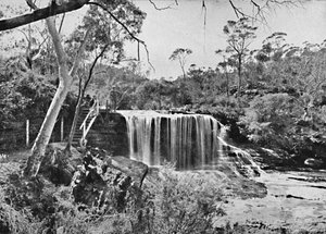 The Weeping Rock at Wentworth Falls, Blue Mountains