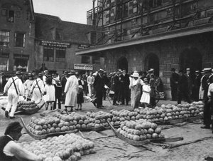 The cheese market on Friday, Alkmaar, Netherlands