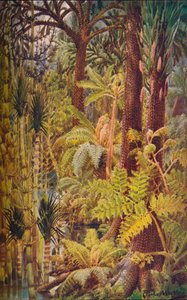 The Gigantic Vegetation of the Carboniferous Age