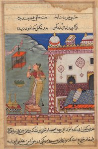 The Parrot Addresses Khujasta at the Beginning of the Twenty-Seventh Night, Recto of Folio 185 from Akbar’s Tuti-nama (Tales of a Parrot)