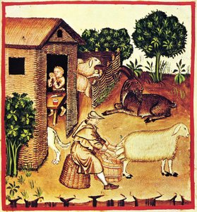 The Production of Cheese (detail) by Unbekannt