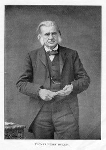 Thomas Henry Huxley, British Biologist