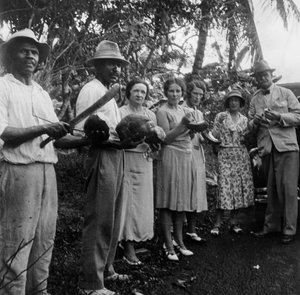 Tourists During a Halt by the Wayside, St Vincent
