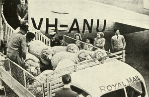Transporting Prize Rams by Air by Unbekannt