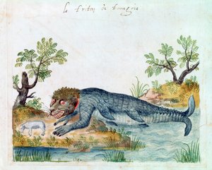 Triton