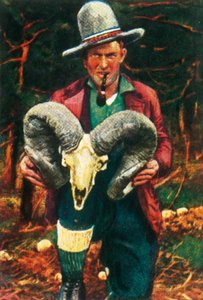 Trophy-hunter holding Bighorn sheep skull