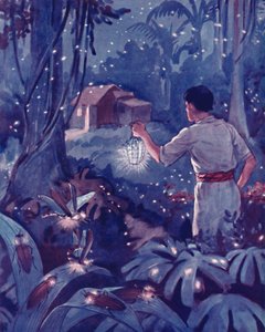 Tropical Fireflies as Dancing Points of Light