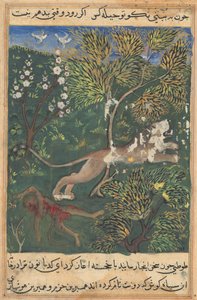 Tales of a Parrot, Tale XXIX