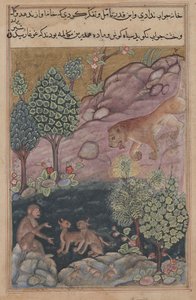 Tuti-Nama Tales of a Parrot: Tale XXIX, The Lion Returns to His Territory and See by Unbekannt