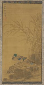 Two Ducks Among Reeds at the Water