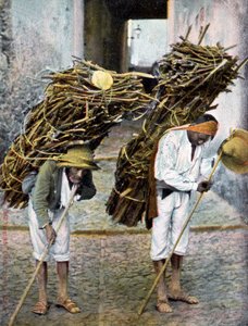 Two men carrying bundles of wood on their backs, Mexico
