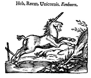 Unicorn