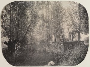 Untitled Landscape with Dog