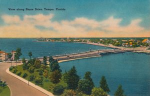 View Along Shore Drive, Tampa, Florida, c. 1940s