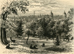 View in Greenwich Park