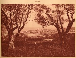 View Through the Olive Trees to Antibes by Unbekannt