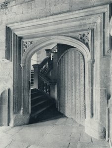 Waynflete