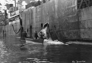 Whaling, Magdalene Bay, Spitzbergen, Norway, 1929