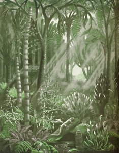 What the Mighty Coal Forests Were Like