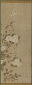 White Chrysanthemums and Grasses