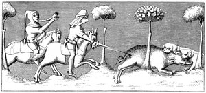 Wild Boar Hunting with Dogs