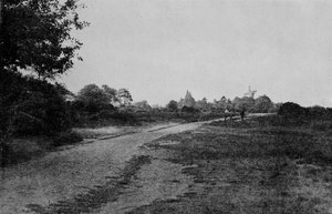 Wimbledon Common and the Windmill
