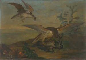 Bird Fight