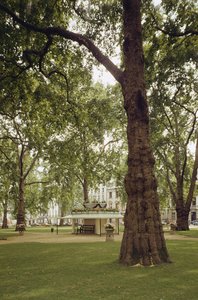 Berkeley Square, London W1 by Unbekannt Unbekannt