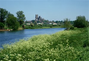 Ely Cathedral and the River Ouse