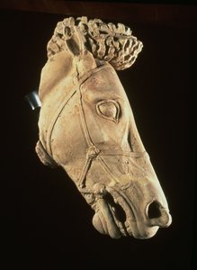 Head of a Horse, 4th-5th Century BC