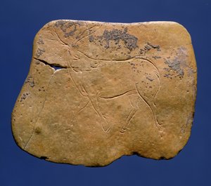 Reindeer, Incised Drawing on Limestone, Paleolithic, Magdalenian V, from Laugerie Basse, Dordogne, c.12000 BC