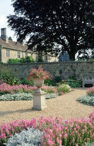 View of the garden by Unbekannt Unbekannt