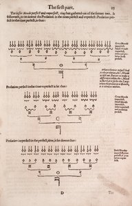 A Plaine and easie introduction to practicall musicke by Unbekannt