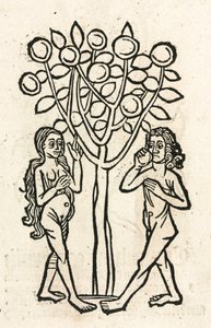 Adam and Eve under the Tree of Knowledge by Unbekannt