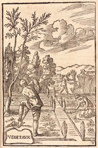 Agriculture: Farmers and Farm Workers Digging, Hoeing and Harvesting