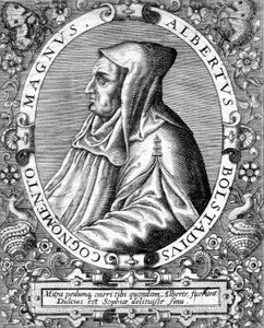 Albert Magnus (1193/1206-1280) German Dominican monk, scientist, philosopher, and theologian (engraving)